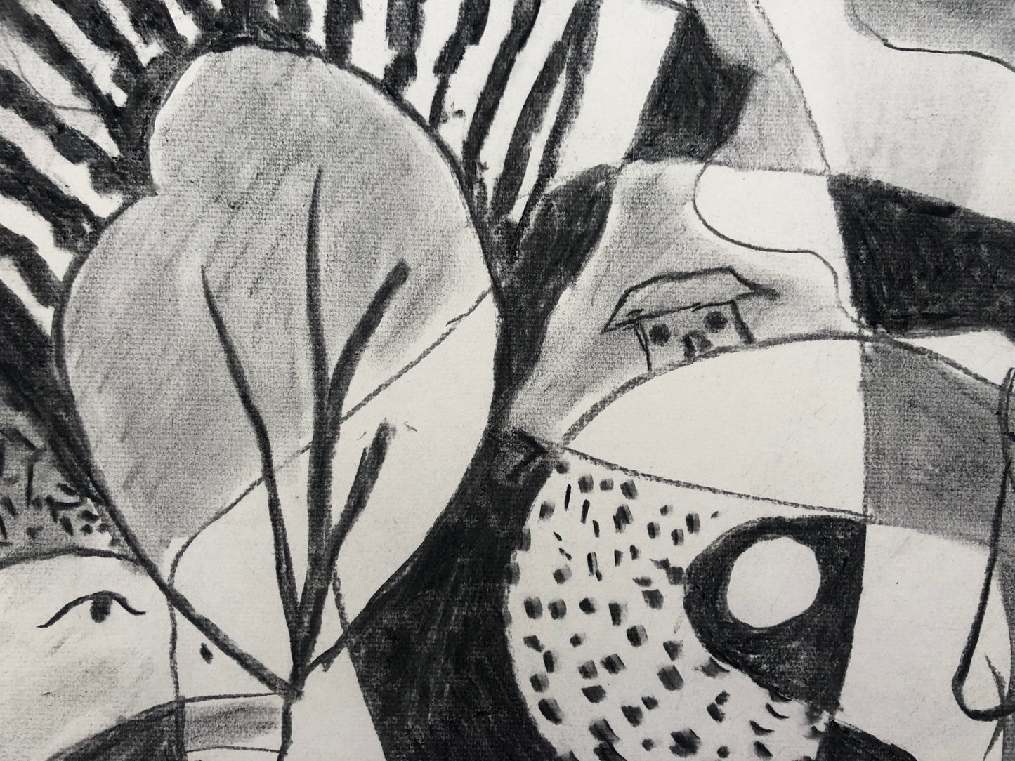 'Searching for Butterflies', 2025